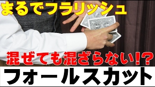 【種明かし】混ぜてるのに混ざらないカット【かっこいい!】magic trick revealed