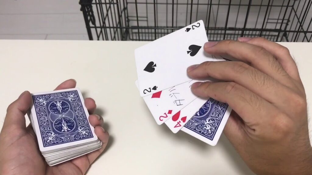 リーダーは素晴らしい^ ^【マジック種明かし】4