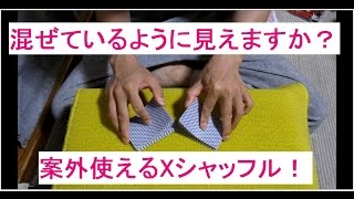 カジノ ディーラー級のトランプカードリフルシャッフルテクニックを披露します！